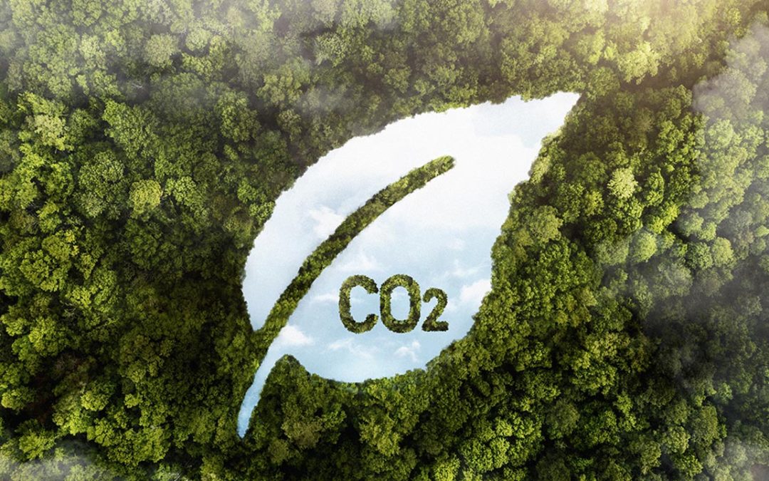 28 de Enero: Día mundial de Reducción de las Emisiones de C02